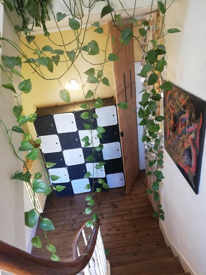 La Chambre D'Hote De Chris Cherbourg-en-Cotentin Ngoại thất bức ảnh